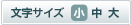 文字サイズ